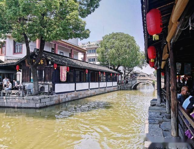辽宁队发挥失常仍赢球!双杀弱旅4连胜重回榜首,张镇麟发挥出色
